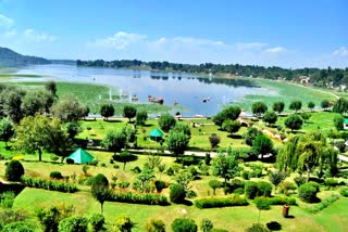 jammu kashmir garden