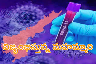 ఏపీలో పరీక్షించిన ప్రతి 100లో 7.11 మందికి కరోనా