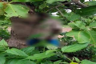 a dead body recovered from malkangiri