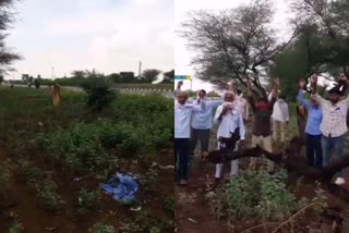 हाईवे पर पेड़ों की कटाई, Harvesting trees on the highway