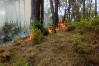 forest fire in hamirpur, हमीरपुर के जंगलों में आग