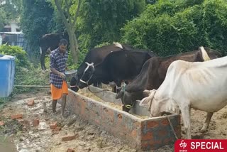 भीम सिंह ने गायों को संरक्षित करने का बीड़ा उठाया है.