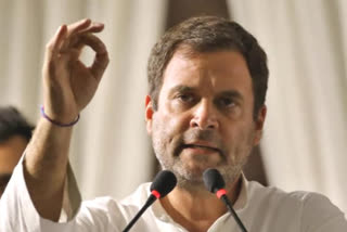 rahul gandhi on probe in rg trust