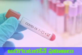 antigen tests  to find corona