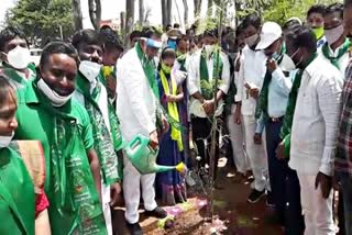 minister mallareddy attend to harithaharam in medchal klr venture