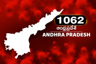 1062 new corona cases registered in andhrapradesh