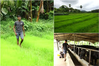 Kerala farming