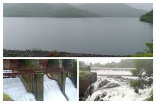 34 dams are get 100 percent full in Ratnagiri district