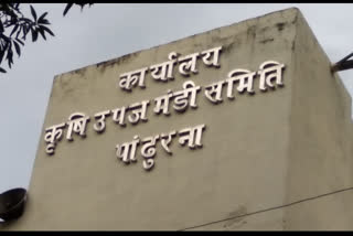 Employees of Pandhurna Krishi Mandi did not get salary for 2 months