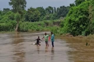 धनबाद: कतरी नदी में डूबने से एक युवक की मौत, परिवार में मातम