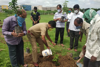 mvi rajamahmad plantation at patelguda in sangareddy