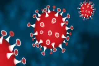 one corona positive case in perecherla guntur district