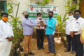 plants distribution at yellandu in bhadradri kothagudem district