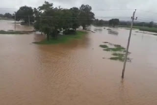 Heavy rain in part of Belagavi.. Markandeya Rivers overflowing