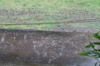 Rain in solapur after 15 days, farmers happy with rain