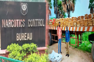 ncb recovered 5477 kg canabbis in five raids in delhi