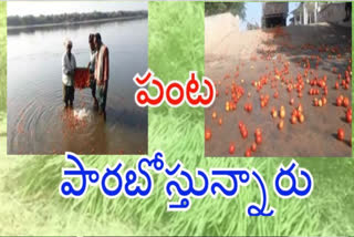 corona effect on vegetable farmers in krishna district