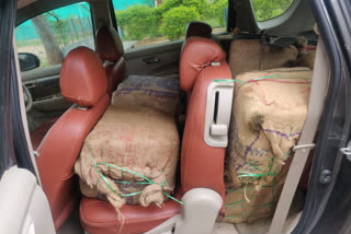 police caught Heavy marijuana in Bhadrachalam