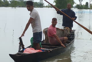 প্ৰলয়ংকাৰী বানে বুৰাই পেলাইছে জোনাইৰ বহু গাঁও