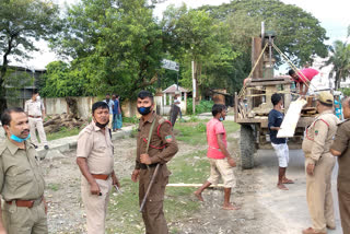 illegal timber market at bilashipara