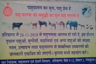 Animal Husbandry Department to set up Kisan Credit Card Livestock Fair in Nuh