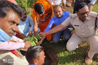 Plantation program organized in Jaberra