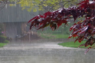 rain fall in guntur district