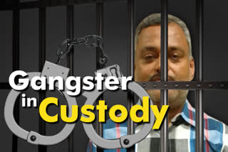 Gangster Vikas Dubey is in Police custody