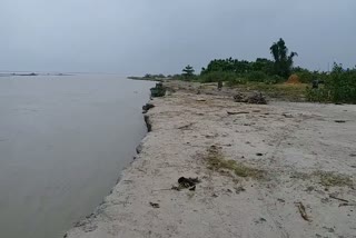 massive damage by Brahmaputra river erosion in dhubri