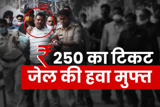 up gangster vikas dubey arrested