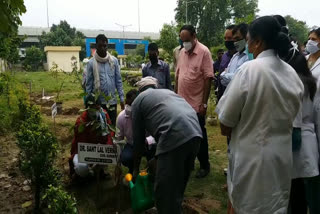 Forest Department started plantation work in Gannaur