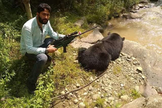 bear attacked on man