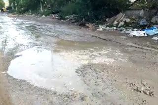 Jai Vihar Industrial Area road turned into marsh in delhi