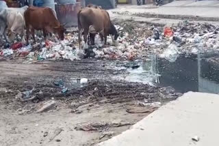 gargabe & water logging at rajdhani park metro