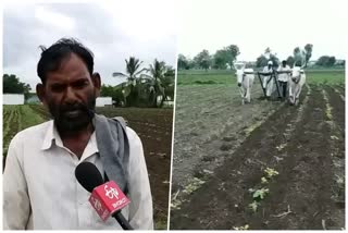 Many farmers do not get crop loans in Beed district