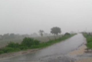 heavy-rain-in-adilabad-district-farmers-are-happy-mood