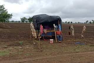 A soldier quarantined in his farm in order to not harm anyone