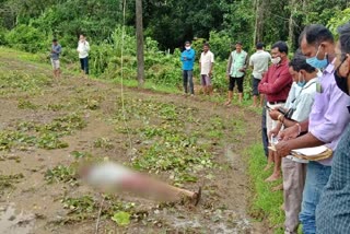 farmer-died-from-electricity-at-cherkadi