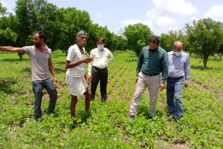 agriculture-department-officials-inspected-kharif-crops-and-advised-farmers-in-agar