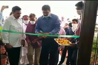 Quarantine, clinic centers starts by district collecte in nellore district