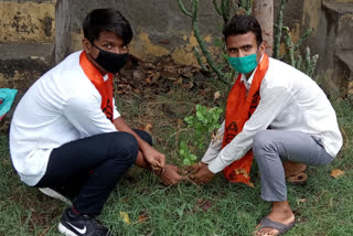 Plantation on ABVP Foundation Day, कोटा न्यूज, एबीवीपी स्थापना दिवस पर पौधरोपण