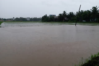 heavy rain in konaseema east godavari district