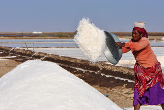 India's salt production down 30% this year on supply chain issues