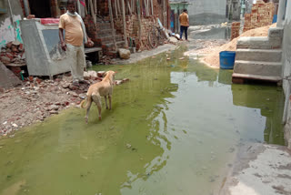 water logging and dirty water