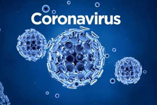 updates on corona virus in germany