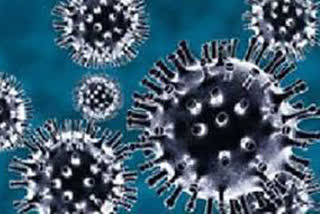 45 percent  of people are infected with the corona virus in in maharashtra and tamil nadu