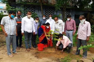 'హరితహారాన్ని సమష్టి కృషితో ముందుకు తీసుకెళ్లాలి'