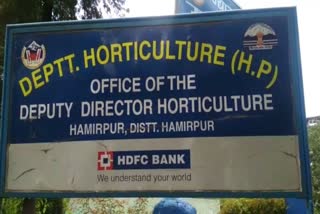 horticulture department hamirpur