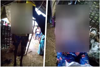 farmer suicide in chimur taluka chandrapur