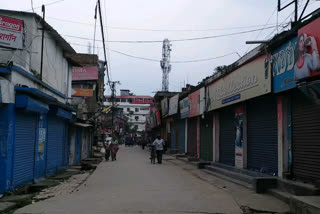 purnea